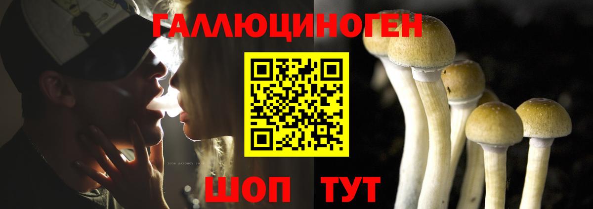Псилоцибиновые грибы прущие грибы Новочебоксарск